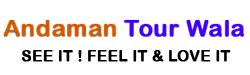 logo-img